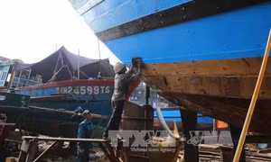 Gần 5 tỷ đồng hỗ trợ tàu cá hoạt động trên các vùng biển xa 