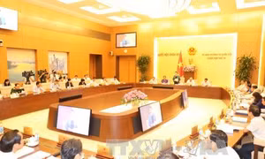 Đề xuất không thành lập HĐND, UBND ở đơn vị hành chính-kinh tế đặc biệt