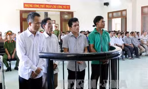 Tuyên án vụ phá rừng nghiêm trọng tại Phú Yên