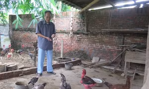 Nghị lực của người cựu chiến binh thành cổ Quảng Trị