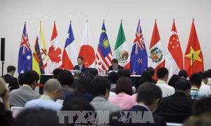 APEC 2017: Các nước tham gia CPTPP có thể tạm hoãn hạn chế một số nghĩa vụ 
