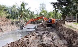 Đồng bằng sông Cửu Long: Chủ động phòng, chống và thích nghi với biến đổi khí hậu 