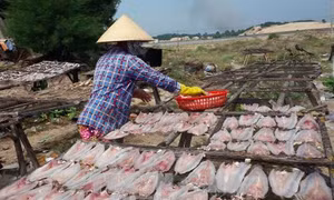 Bà Rịa-Vũng Tàu phát hiện chất cấm trong cá khô ở chợ đầu mối
