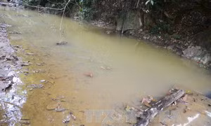 Nước suối ở Phú Thọ bị ô nhiễm: Dân không dám rửa tay chân, lúa ngô giảm năng suất