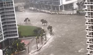 Siêu bão Irma xâm chiếm Florida, Miami bị nước biển nhấn chìm