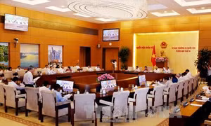 Khiếu nại, tố cáo phức tạp, đông người chủ yếu thuộc lĩnh vực đất đai 