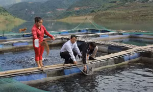 Tây Bắc khai thác lợi thế hồ thủy điện 