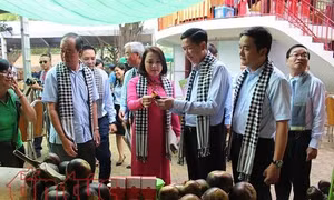 TP Hồ Chí Minh