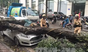 Ngày 1/4, miền Bắc trời rét, miền Trung mưa đá, gió giật