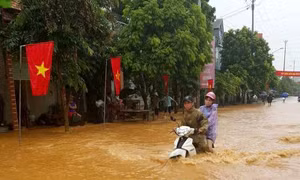 Tuyên Quang: Hơn 100 nhà bị ngập và hàng trăm ha lúa, hoa màu bị vùi lấp