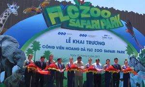 Vườn thú FLC Zoo Safari Park Quy Nhơn đón khách từ 26/3