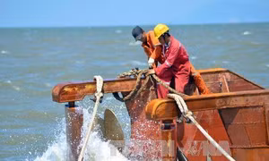 Khai quật tàu cổ đắm tại Dung Quất, Quảng Ngãi 
