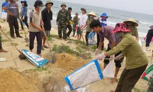 'Phải đi đến cùng vụ Formosa'