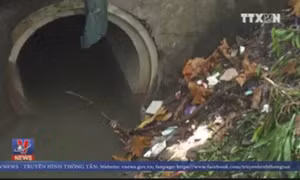 TP Hồ Chí Minh lắp đặt thí điểm miệng hố ga ngăn mùi, giảm ngập