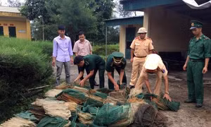 Quảng Ninh: Sử dụng kích điện, lồng bát quái để đánh bắt thuỷ sản trái phép