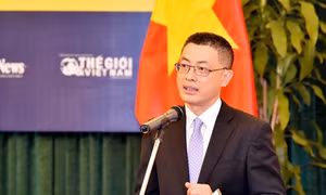 Thủ tướng bổ nhiệm Thứ trưởng Bộ Ngoại giao