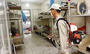 Chủ động diệt bọ gậy, giảm nguy cơ tái diễn đỉnh dịch sốt xuất huyết
