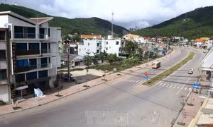 Chủ tịch UBND huyện Vân Đồn: Thông tin 'cò đất' lừa chiếm tiền cọc của khách hàng là không chính xác