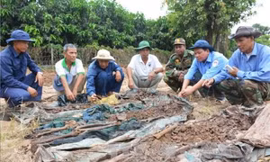 Còn sống còn đi tìm đồng đội 