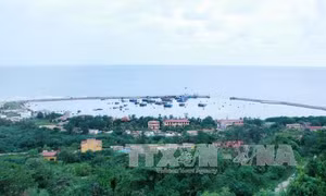 Xây dựng hệ thống dữ liệu tài nguyên sinh vật đảo Bạch Long Vĩ