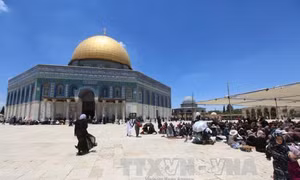 OIC và Palestine gọi việc Israel đóng cửa đền thờ Hồi giáo al-Aqsa là 'tội ác chống người Hồi giáo''