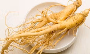 Nhân sâm có tác dụng thế nào đến sức khoẻ?