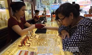 Giữa tuần giá vàng quay đầu giảm 