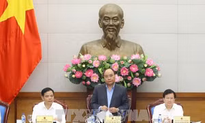 Thủ tướng Nguyễn Xuân Phúc: Kiểm điểm, làm rõ trách nhiệm để xảy ra tình trạng phá rừng 