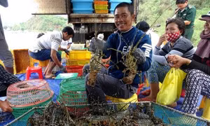 Kế hoạch cơ cấu lại ngành nông nghiệp 