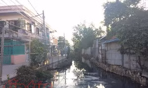 Thành phố Hồ Chí Minh