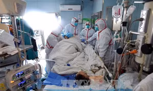 Trung Quốc phát hiện người nhiễm cúm gia cầm ở tỉnh biên giới phía Nam