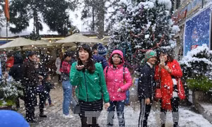 Rộn ràng đón Lễ hội mùa đông Sa Pa 2017 