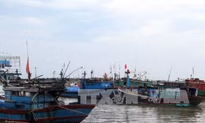 Cứu nhiều ngư dân và tàu cá gặp nạn khi di chuyển để tránh bão số 10