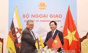 Tăng cường hợp tác toàn diện Việt Nam - Brunei 
