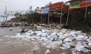 Bãi biển Cồn Vành tan hoang vì triều cường
