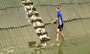 Bộ Công Thương điều tra 'nghi án' cá chết hàng loạt ở Lào Cai