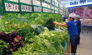 Tìm giải pháp phát triển nông nghiệp sạch