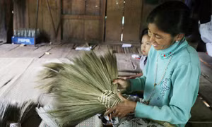 Làm chổi đót truyền thống giúp đồng bào dân tộc thiểu số cải thiện cuộc sống