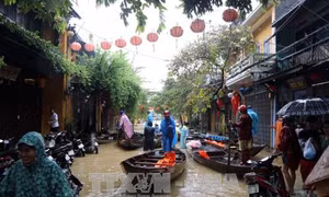 Năm 2017- kỷ lục số lượng cơn bão và áp thấp nhiệt đới