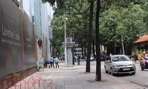 TP Hồ Chí Minh