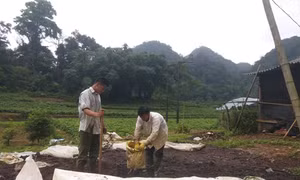 Người mở hướng làm giàu ở vùng cao Tân Lạc 
