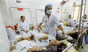 Các bệnh viện công khai số điện thoại đường dây nóng tư vấn về sốt xuất huyết 