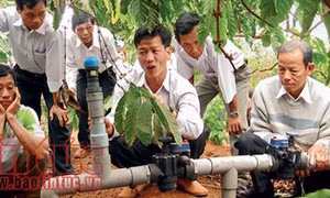 Tiết kiệm một nửa lượng nước tưới cho cây cà phê Tây Nguyên