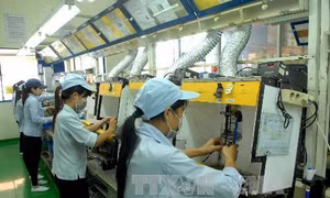 Hơn 13.000 xe Piaggio Liberty phải thu hồi