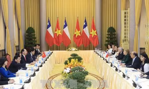 Chủ tịch nước Trần Đại Quang hội đàm với Tổng thống Chile Michelle Bachelet 