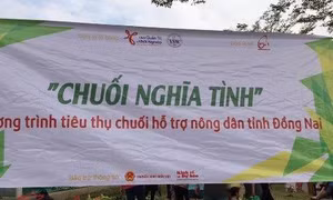 TP Hồ Chí Minh