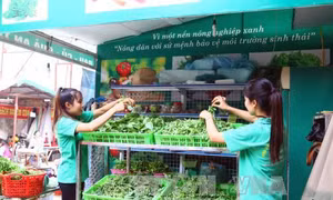 Sắp diễn ra Hội nghị Bộ trưởng Hợp tác xã các nước châu Á - Thái Bình Dương 