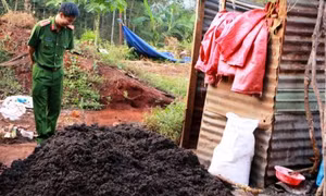 Kinh hoàng chế biến hồ tiêu bẩn: Trộn hạt lép với bột màu và hóa chất
