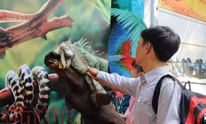 TP Hồ Chí Minh