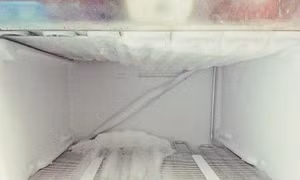 Chồng giấu xác vợ trong tủ lạnh suốt 8 năm, 'nuốt trọn' tiền trợ cấp